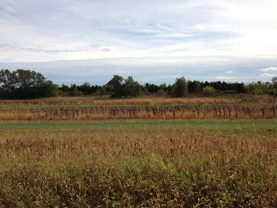 Green River State Wildlife Area campground