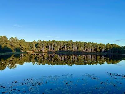 Gordonia-Alatamaha State Park - Reidsville, Georgia