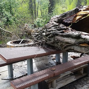 Willows - Huntsville, Utah campground