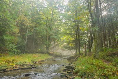 Clear Creek State Park - Sigel, Pennsylvania campground