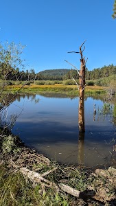 Benny Creek - Greer, Arizona campground