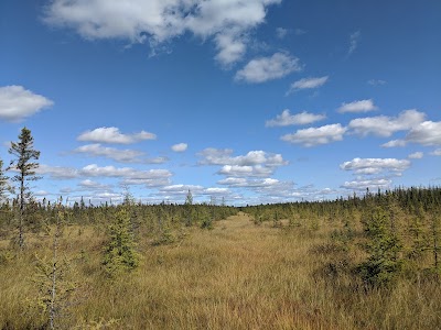 Big Bog State Rec Area - Waskish, Minnesota campground