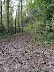 Big Lost Creek - Reliance, Tennessee campground