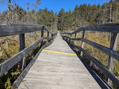 Glidden Lake - Copper Country State Forest - Crystal Falls, Michigan campground