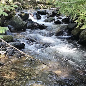 North Crow Creek - Ronan, Montana campground