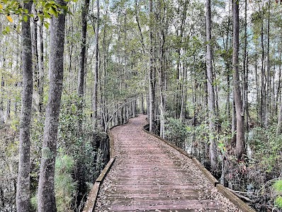 Stephen C. Foster State Park - Fargo, Georgia campground