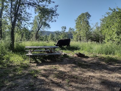 Swinging Bridge FAS - Columbus, Montana campground