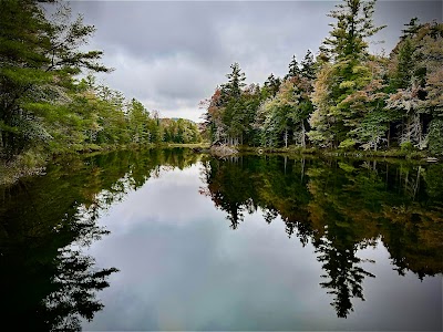 Pillsbury State Park - Washington, New Hampshire campground