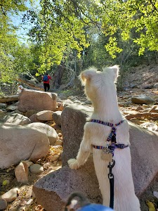 Haigler Canyon - Payson, Arizona campground