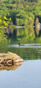 Maidstone State Park campground