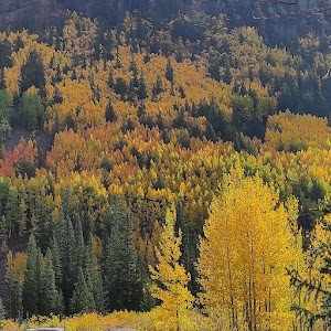 Guanella Pass - Dillon, Colorado campground