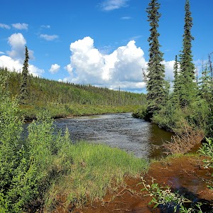 Ophir Creek - Steese Hwy - campground, Alaska