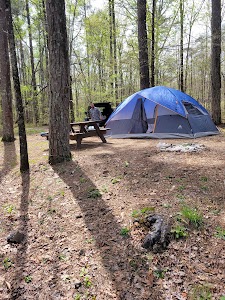 Mcdougle Hunter Camp - Moulton, Alabama campground