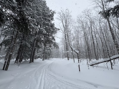 Courtney Lake - Mass City, Michigan campground