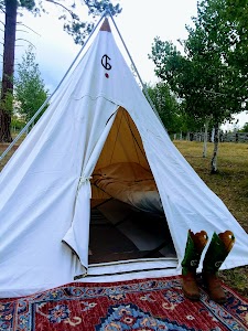 Transfer - Mancos, Colorado campground