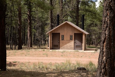 Quaking Aspen - Fort Wingate, New Mexico campground