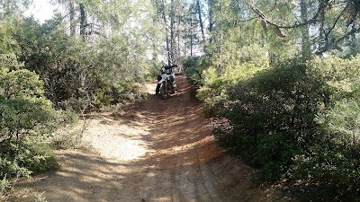 Cow Mountain Rec Area - Ukiah, California campground