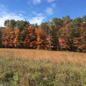 Bear Creek Hunt Camp - Robbinsville, North Carolina campground
