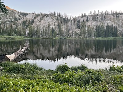 Big Trinity Lake - Mountain Home, Idaho campground