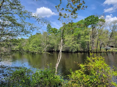 Colleton State Park - Walterboro, South Carolina campground