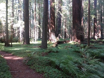 Burlington - Humboldt Redwoods State Park - Myers Flat, California campground