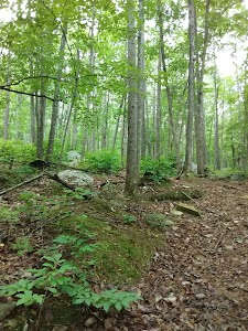 East Morris Mountain - Troy, North Carolina campground
