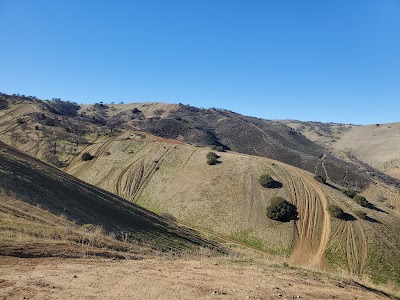 Carnegie State Vehicle Rec Area - Tracy, California campground