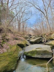 Randolph County State Conservation Area - Chester, Illinois campground