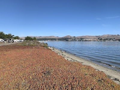 Westside Regional Park - Bodega Bay, California campground