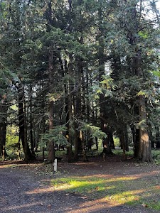 Big Cedars Campground - Cook, Washington campground
