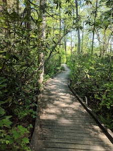 Mount Misery - Pachaug State Forest - Voluntown, Connecticut