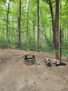 West Morris Mtn. - Troy, North Carolina campground