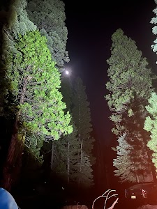 Yellowjacket campground