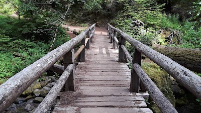 Ohanapecosh - Mount Rainier National Park - Randle, Washington campground