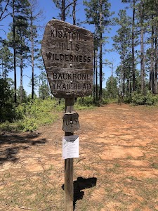 Lotus Campground - Provencal, Louisiana campground