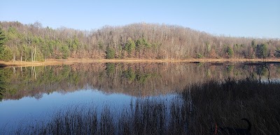 Long Lake (Missaukee) - State Forest - Lake City, Michigan campground