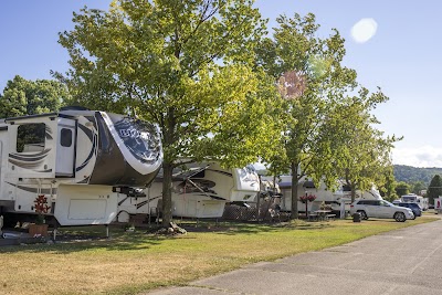 Clute Memorial Park - Watkins Glen, New York campground