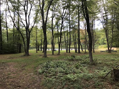 Pearl Hill State Park campground