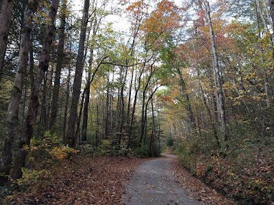 Holly Flats - Tellico Plains, Tennessee campground