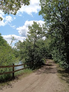 Bullard Bluff Campsite - Staples, Minnesota campground