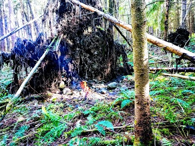 Bear Creek - State Forest - Port Angeles, Washington campground