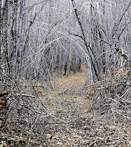 Boulder - St Croix State Forest - Sandstone, Minnesota campground
