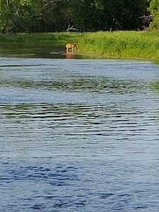 Knob Hill - Staples, Minnesota campground