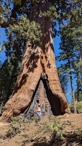 King's Canyon National Park Azalea Campground - Hume, California campground
