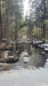 Fourbit Ford - Butte Falls, Oregon campground