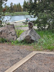 McCrea Bridge - Island Park, Idaho campground