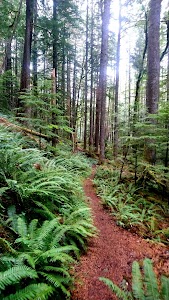 Indian Henry - Estacada, Oregon campground