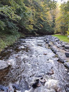 Whetstone Gulf State Park - Lowville, New York campground