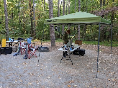 Pine Ridge Campground - Junction, Illinois campground