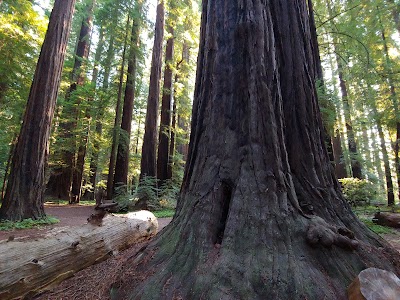 Van Duzen Park - Carlotta, California campground
